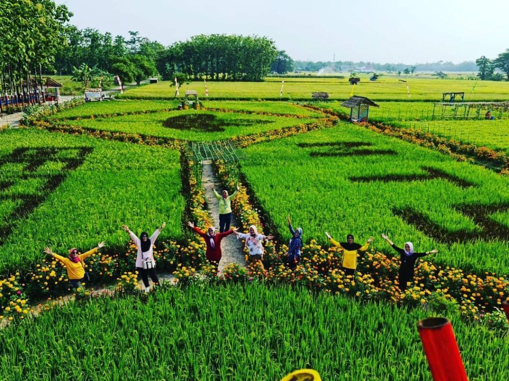 Sembilan Desa Diproyeksikan Jadi Kawasan Agrowisata