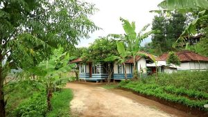 MASUK DALAM PROKLIM UTAMA, Desa Rempoah Jadi Tuan Rumah Studi Banding DLH Kabupaten Demak