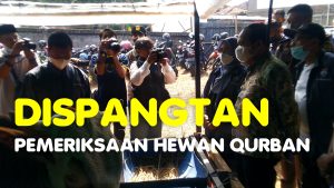 MENILIK HEWAN QURBAN YANG BAIK, ini syaratnya ….