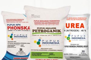 Pupuk Bersubsidi Mulai Langka, DPRD Kabupaten Bandung Minta Bupati Ikut Bertanggungjawab