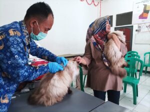 Dispangtan Kota Cimahi Adakan Layanan Vaksinasi Hewan Gratis