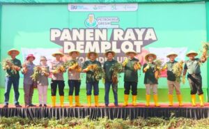 Tingkatkan Produksi Ubi Cilembu , Pemkab Sumedang Kolaborasi dengan PT Petrokimia Gresik