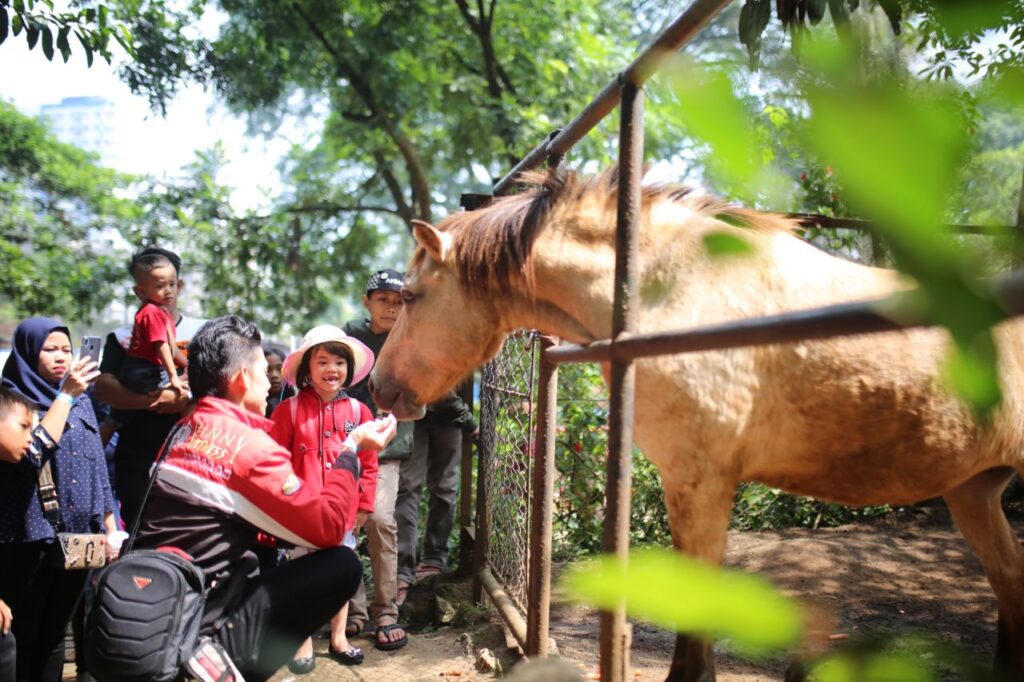 Kebun binatang