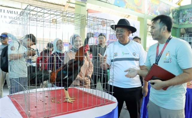 Shamo Expo 3, Ajang Sosialisasi dan Silaturahim Komunitas Pecinta Ayam Hias Dan Reptil