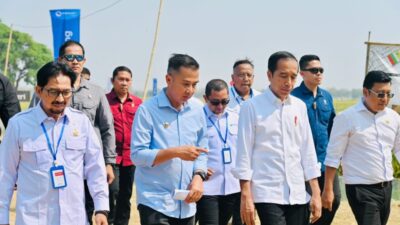 panen raya