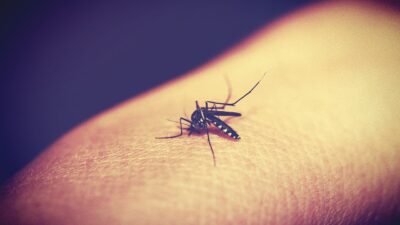 Masuki Musim Pancaroba, Dua Kecamatan di Bandung Barat Terjangkit DBD