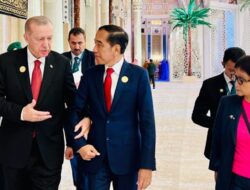 Indonesia-Turki akan Terus Kerja Sama Dukung Perjuangan Palestina
