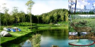 wisata