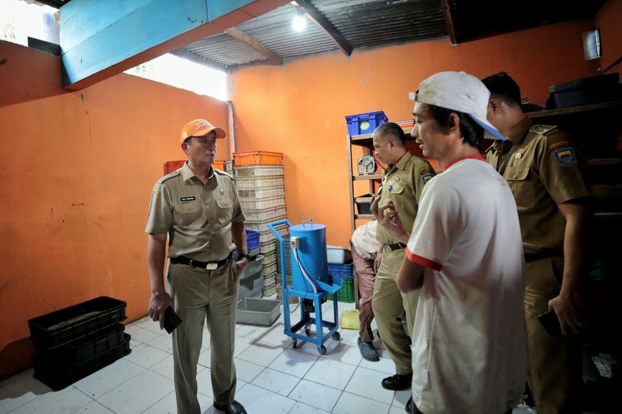 Sampah organik