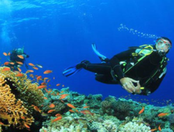 apa keistimewaan dari Bunaken