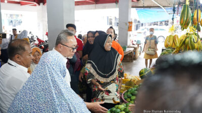 Zulkifli Hasan