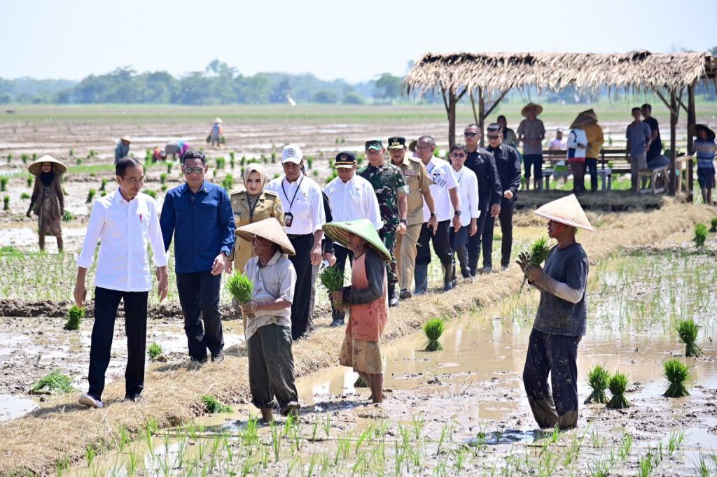 para petani