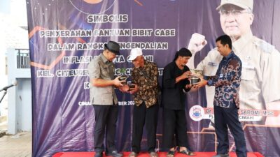 Bibit Cabe