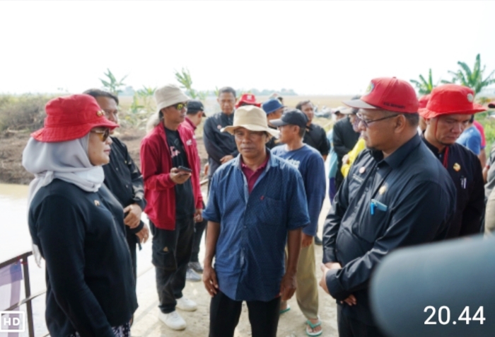 Blok Darim