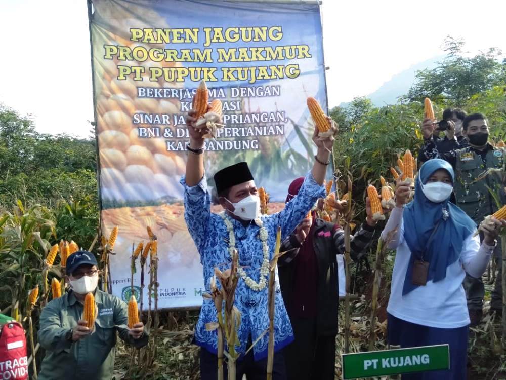 Nasional ke-IX