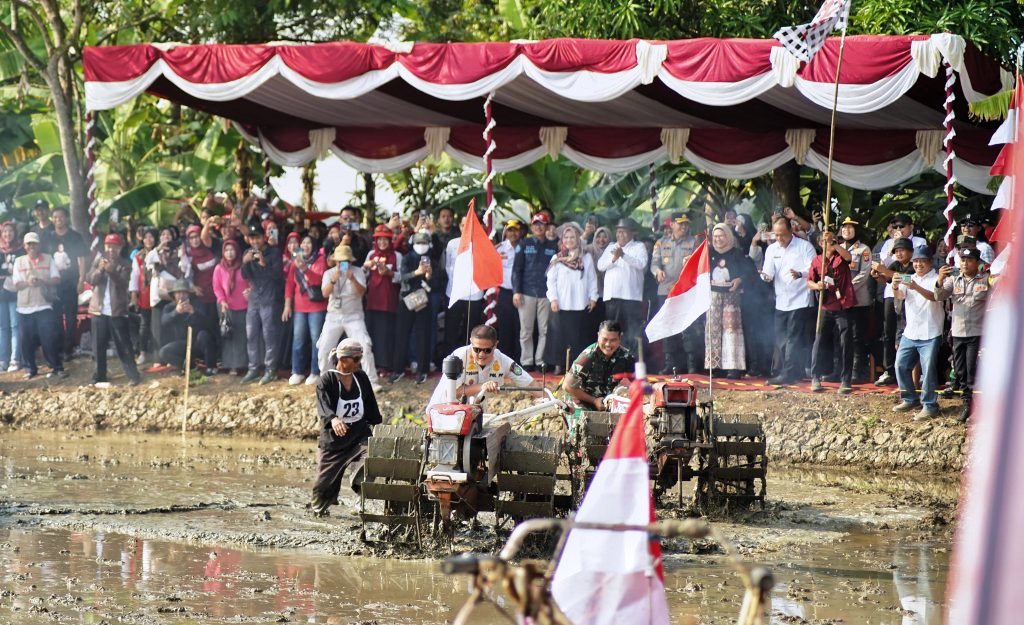Pesta Tani