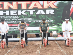 Pangdam III/Slw Ikuti Tanam Jagung Serentak 1 juta ha