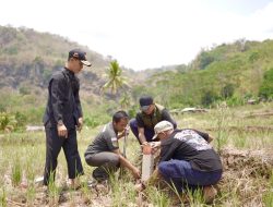 Sarankan Warga Pasang Patok Tanah Permanen, Dirjen SPPR: 50 Persen Sengketa Tanah Dipicu Tidak adanya Tanda Batas