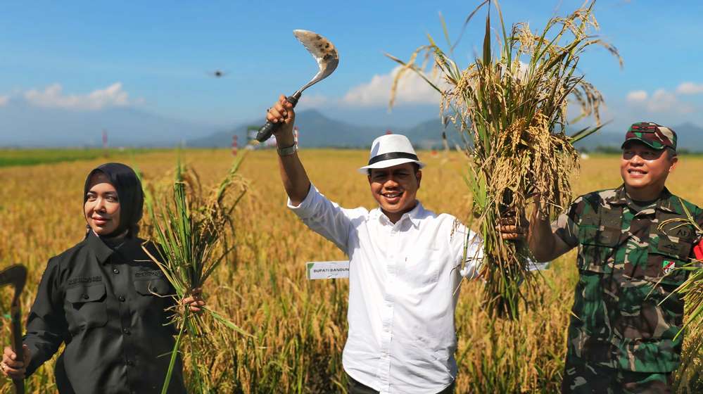 petani