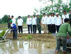 Wabup Syaefudin Lakukan Percepatan Tanam di Lahan 11 Ribu Hektar
