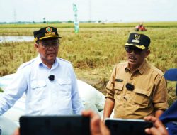 Tingkatkan Mutu dan Kuantitas Pertanian, Pemkab Indramayu Siapkan 31 Lahan Demplot