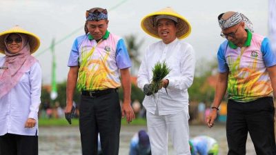 KDM Dukung Swasembada Pangan Lewat Penanaman Padi di Lahan Aset Negara