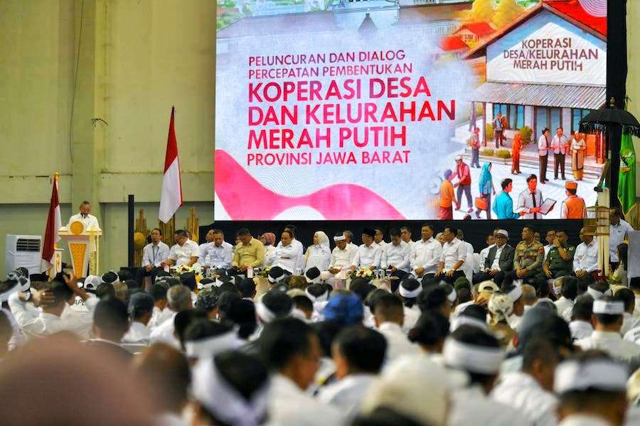 program